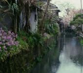 The Story of Yanagawa Waterways at BAMPFA