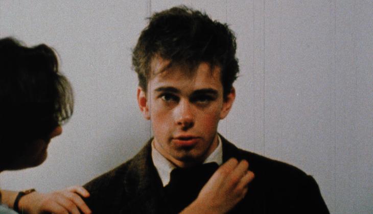 トッド・ヘインズReframing Todd Haynes:Feminism’s Reframing Todd Haynes: Feminism's Indelible Mark edited by