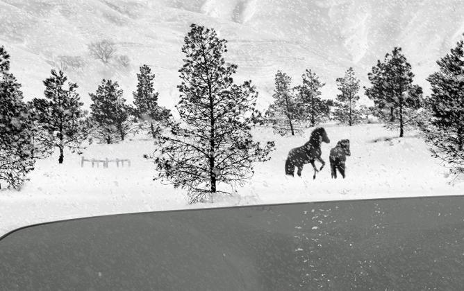 洋書 Kiarostami:Images, Still and Moving Jesse's Book Review - Images Still and Moving - Japan Camera