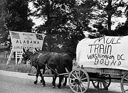 The Mule Train | BAMPFA